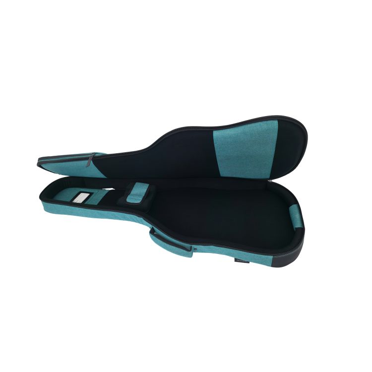 Ritter-Bern-Electric-Guitar-Aqua-Green-Zubehoer-zu_0010.jpg