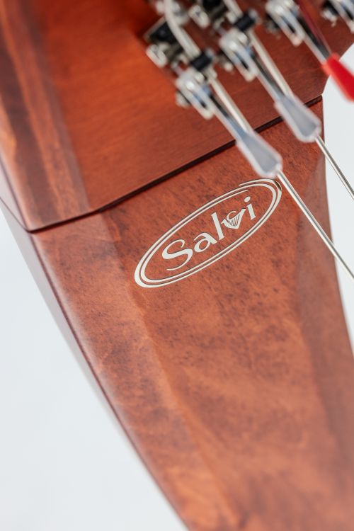 Klappenharfe-Salvi-Modell-T2-mahogany-_0003.jpg