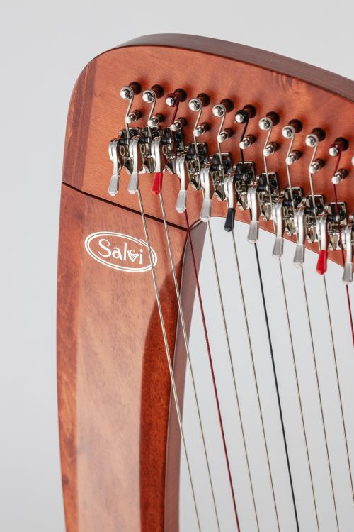 Klappenharfe-Salvi-Modell-T2-mahogany-_0007.jpg