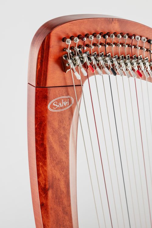 Klappenharfe-Salvi-Modell-T2-natural-matt-_0005.jpg