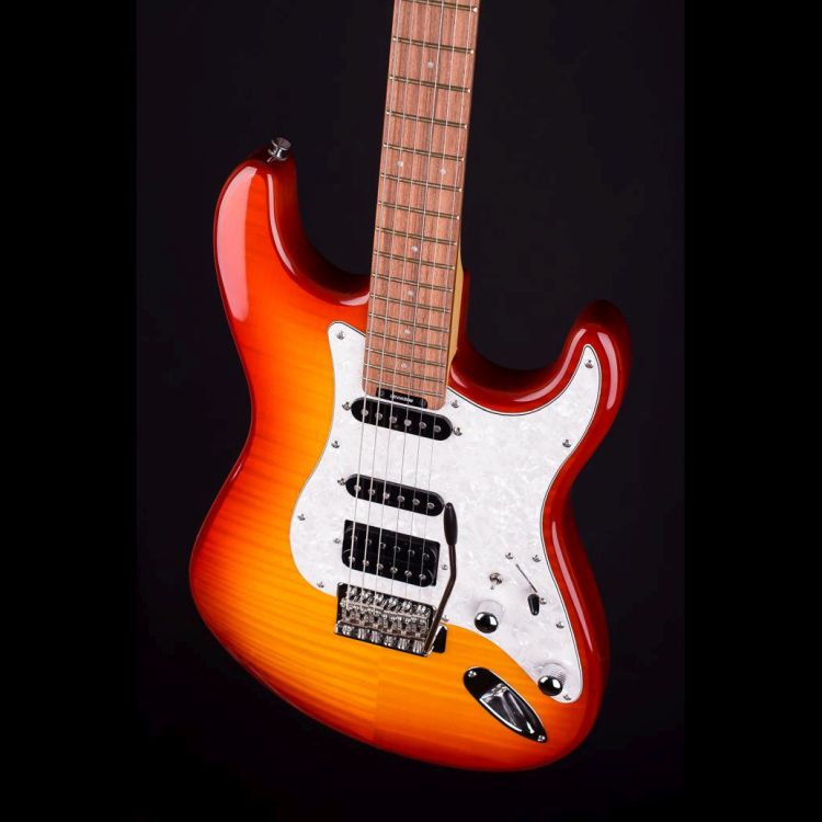 E-Gitarre-Blade-Modell-Texas-Deluxe-TE-2-honey-bur_0003.jpg
