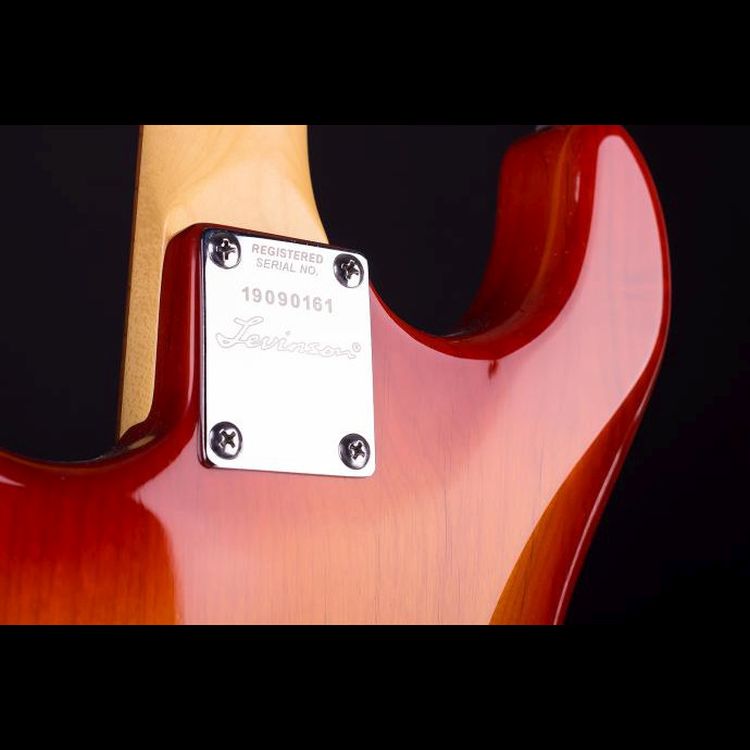 E-Gitarre-Blade-Modell-Texas-Deluxe-TE-2-honey-bur_0005.jpg