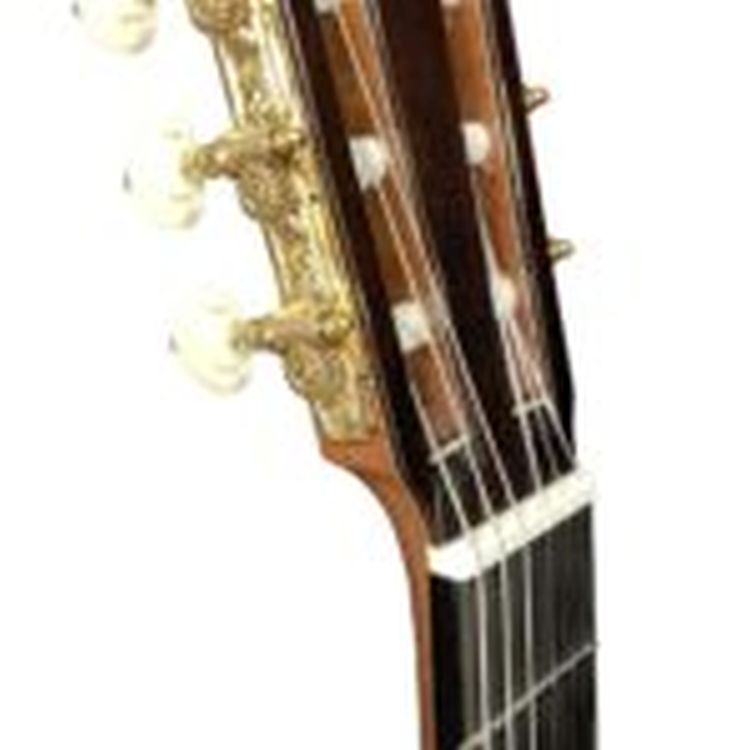 klassische-Gitarre-Asturias-Modell-Renaissance-C-Z_0004.jpg