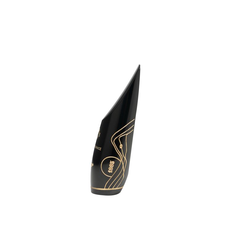 Mundstueck-Alt-Saxophon-Selmer-CONCEPT-Limited-Edi_0003.jpg