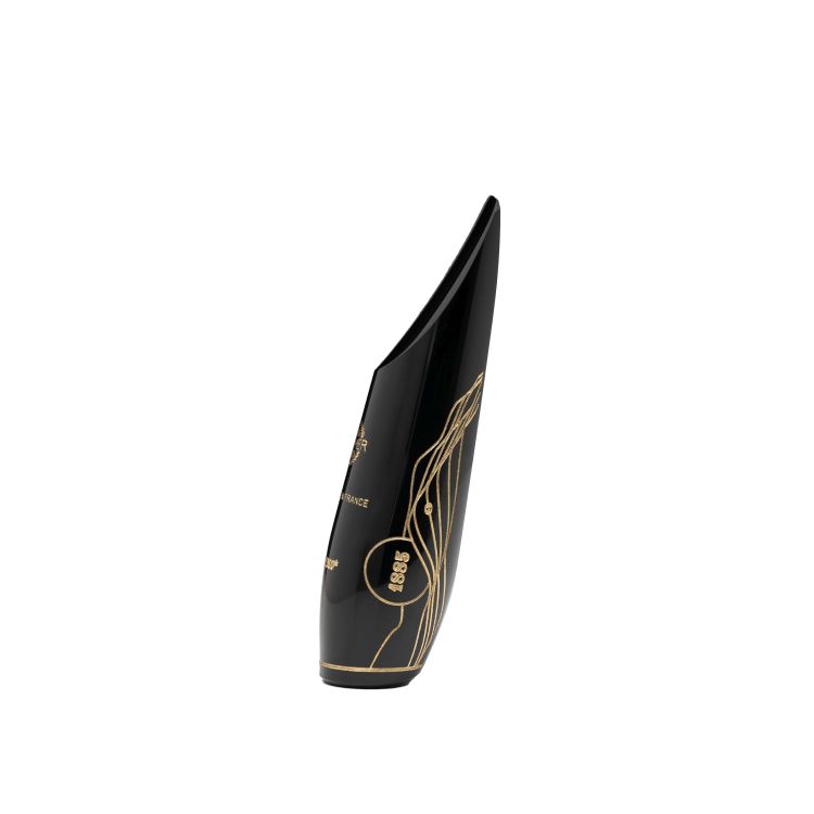 Mundstueck-Tenor-Saxophon-Selmer-CONCEPT-Limited-E_0003.jpg
