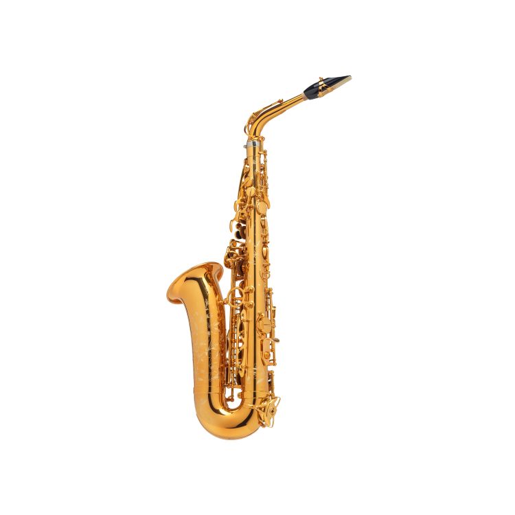 Alt-Saxophon-Selmer-Supreme-vergoldet-gold-_0002.jpg