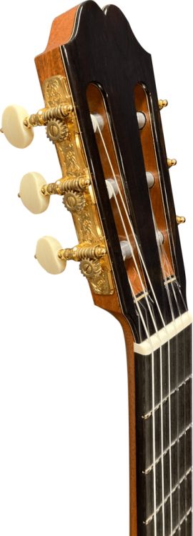 klassische-Gitarre-Asturias-Modell-Double-Top-Ceda_0004.jpg