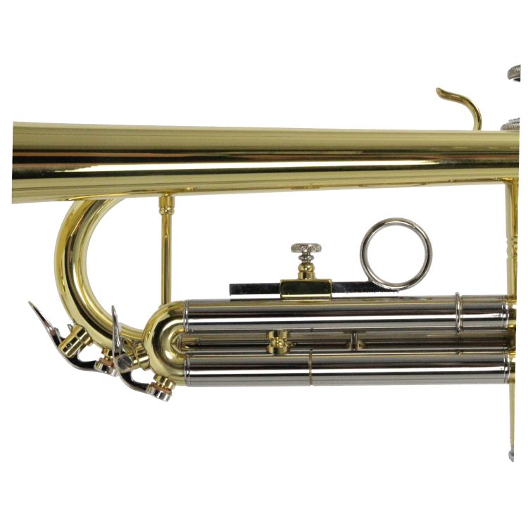 B-Trompete-Carol-Brass-Basic-lackiert-gold-_0006.jpg