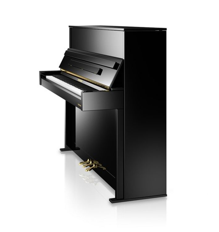 Klavier-W-Hoffmann-Modell-Vision-V-4-schwarz-polie_0003.jpg