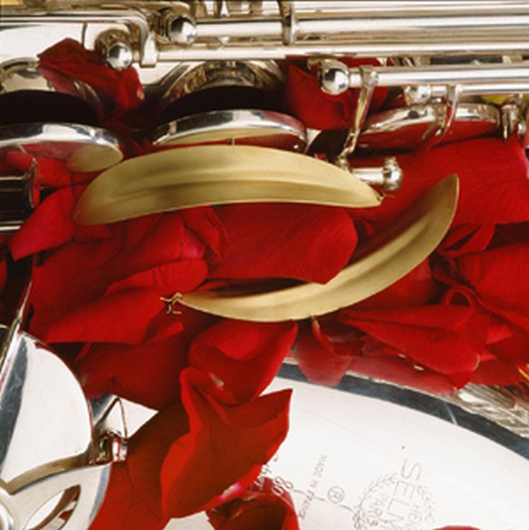 Selmer-Ohrringe-Firebird-Messing-satiniert-_0002.jpg