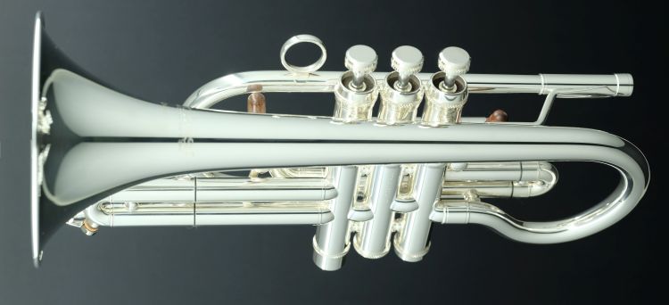 Cornet-Carol-Brass-CCR-6882T-GSS-Bb-S-versilbert-_0005.jpg